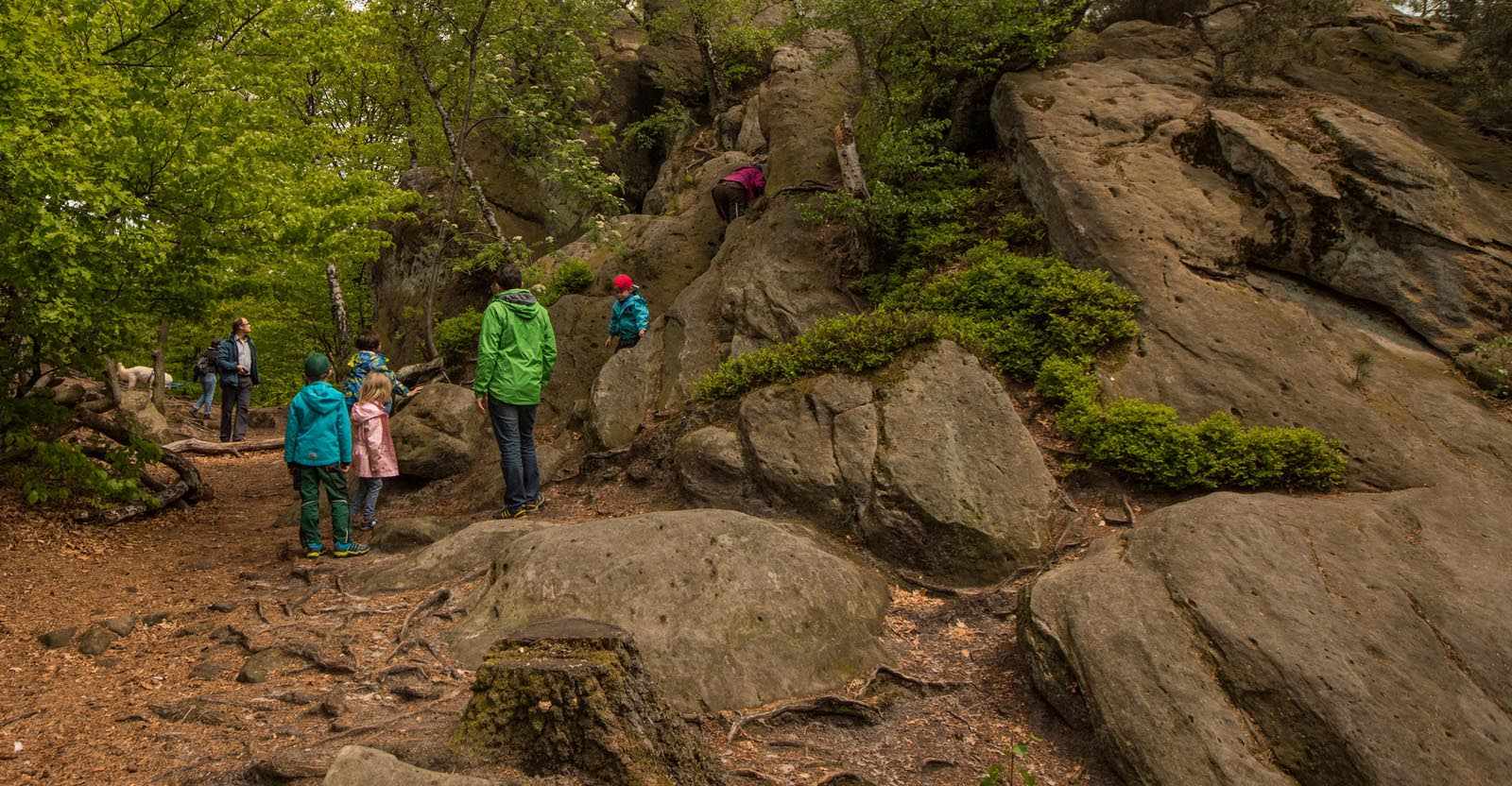 Dörenther Klippen / Tecklenburger Land / Teutoschleifen